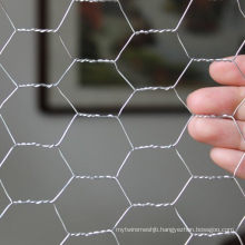 UK Canada Usa′s Choice Galvanized Steel Hexagonal Hole Stucco Plasterer Wire Netting